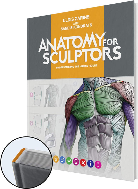 Anatomy For Sculptors, Understanding the Human Figure