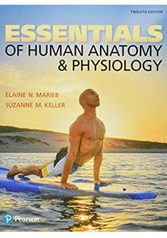 Essentials of Human Anatomy & Physiology 12th Edition