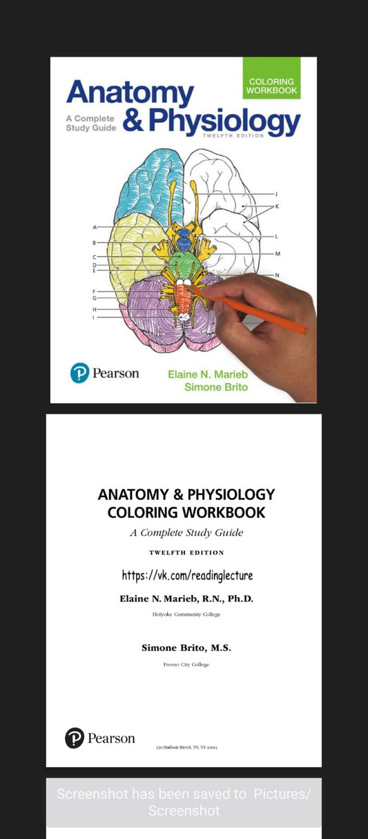 anatomy and physiology Coloring workbook