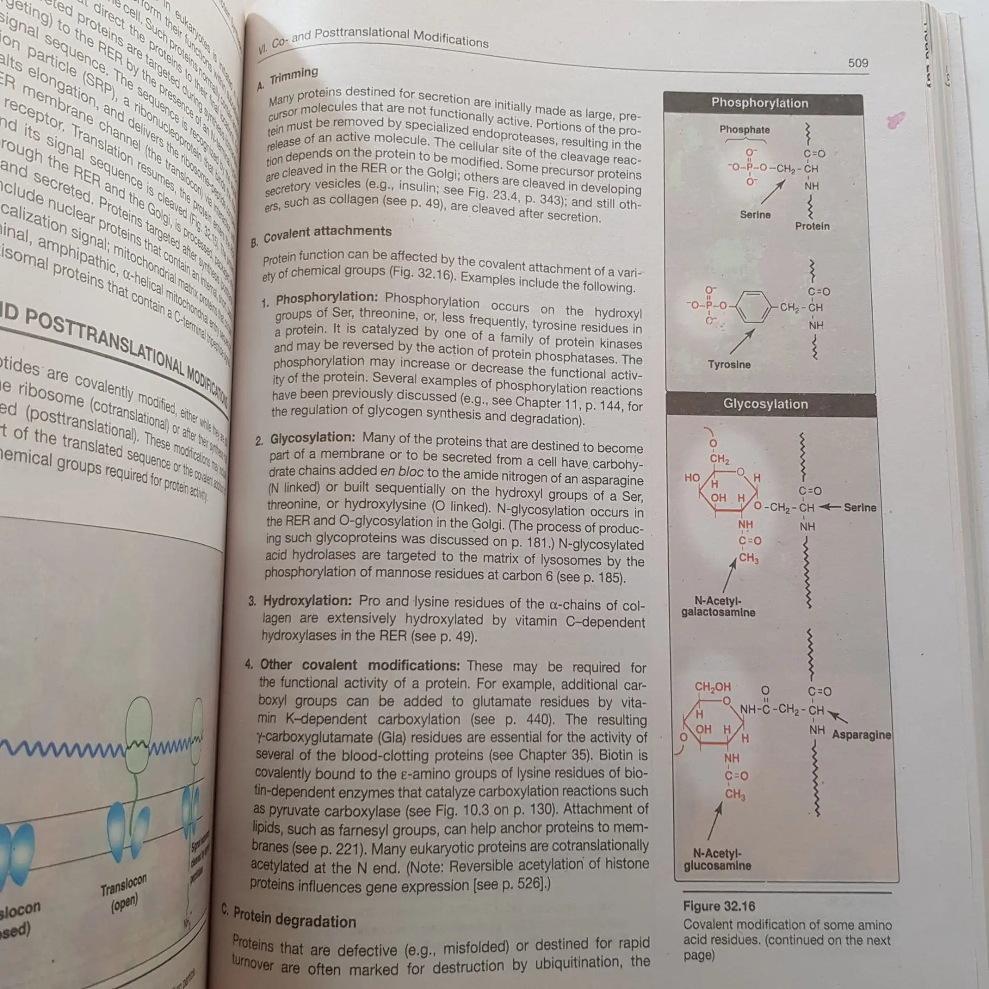 BIOCHEMISTRY 8TH EDITION BY EMINE ERCIKAN ABALI